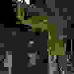 an36