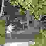 an37