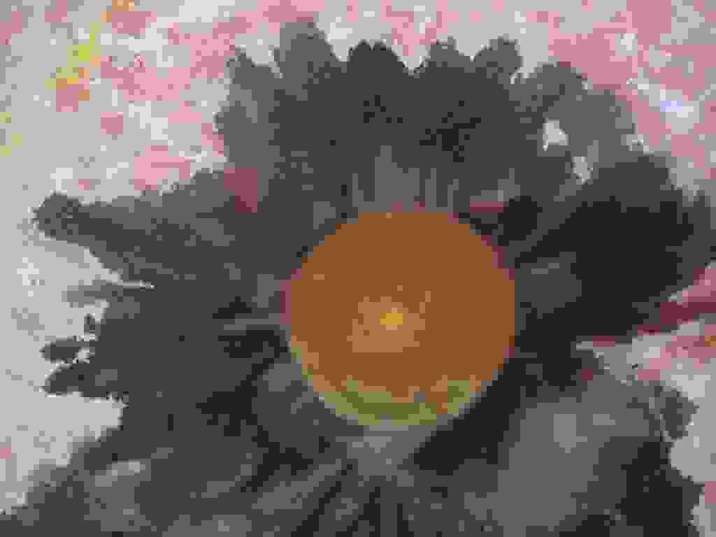 an