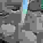 an