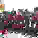 an5