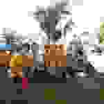 an5