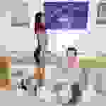 an5