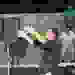 an54