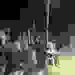 an5