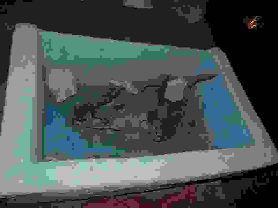 an57