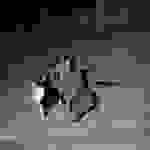 an60