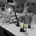 an61