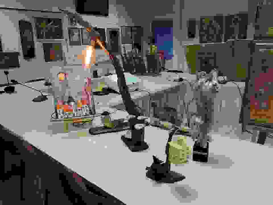 an61