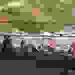an6