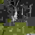 an63