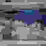 an69