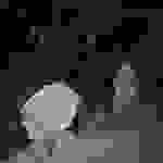 an69