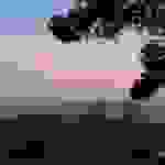 an69