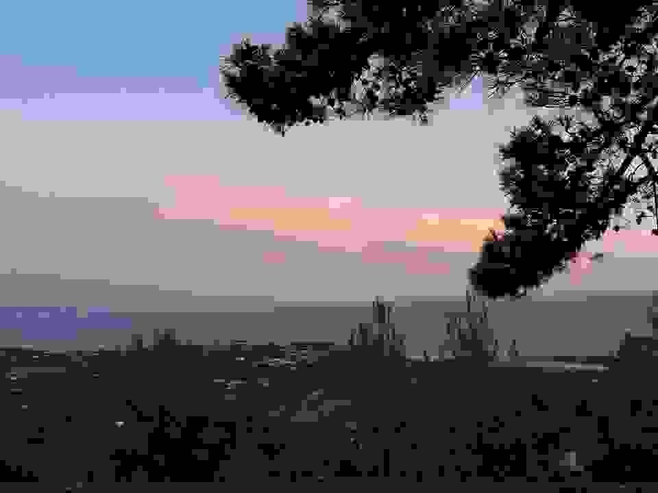 an69