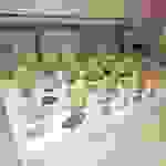 an8