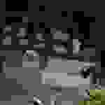 an81