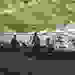 an8