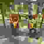 an8