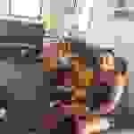an9