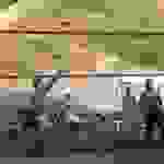 an9