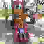 an9