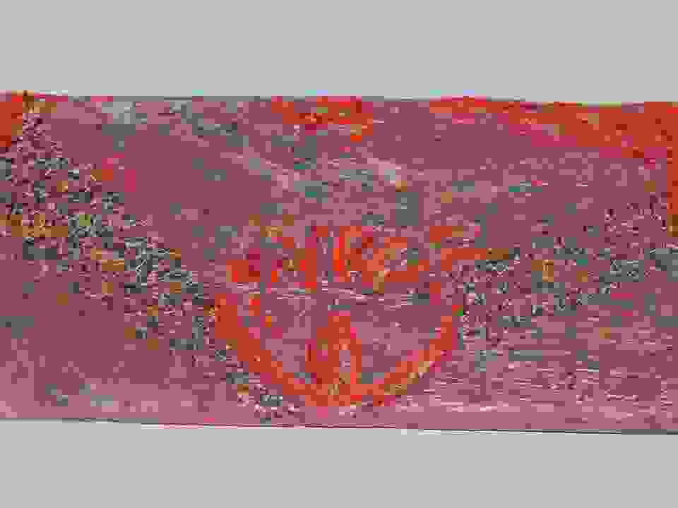 an96