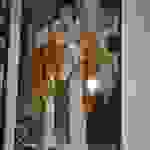 an99