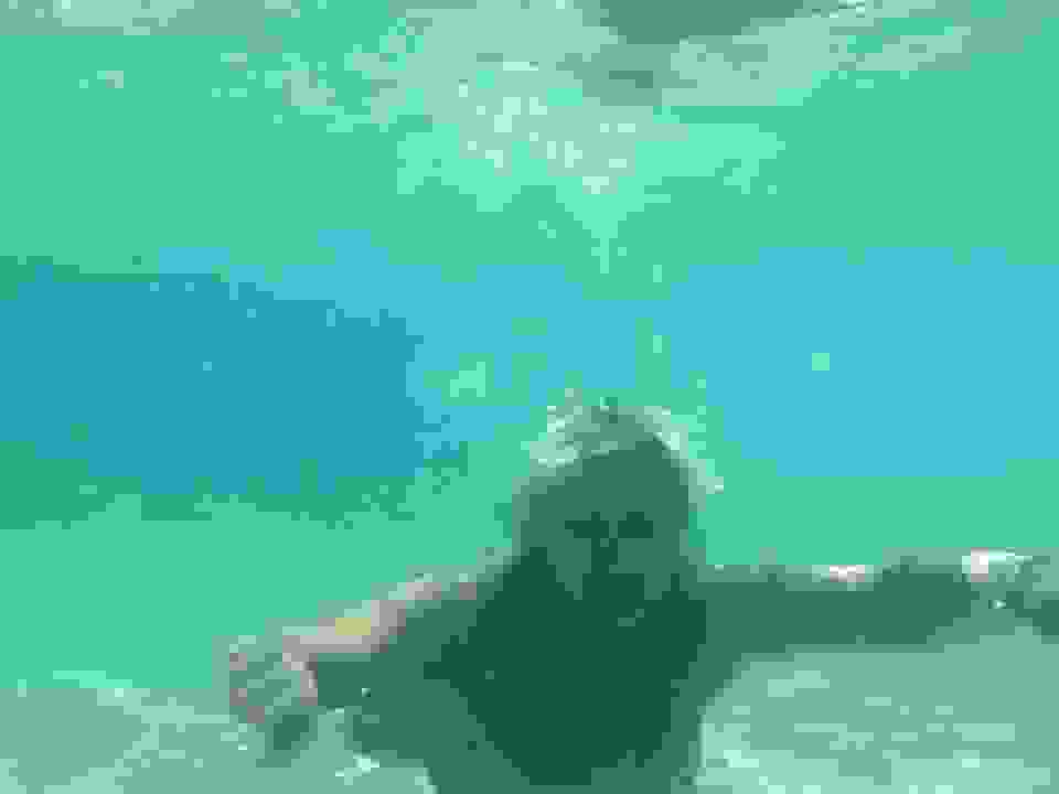 costa2