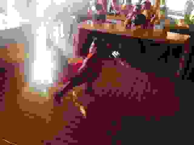 costa4