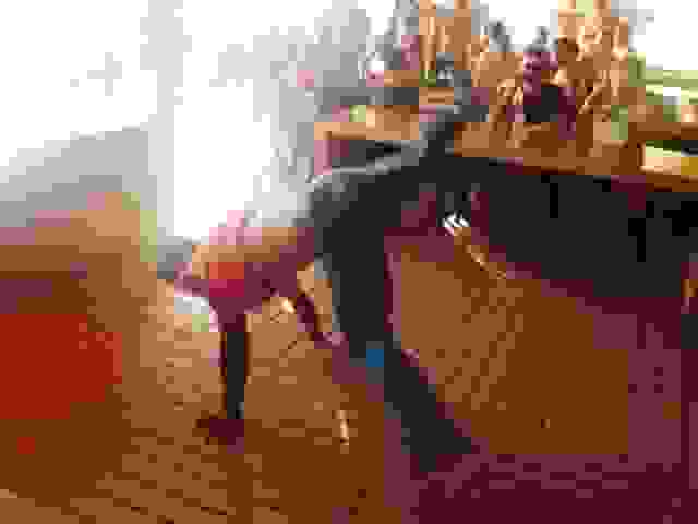 costa5