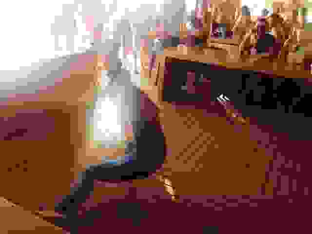 costa6