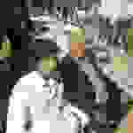 dim1