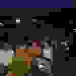 dim1