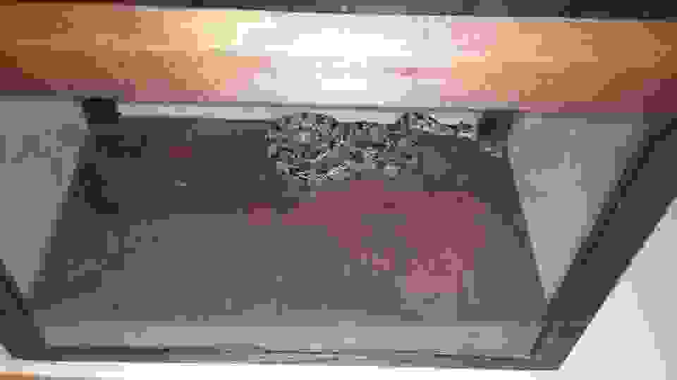 dim8