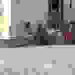 jer2