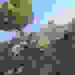 jer3