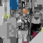 jer33