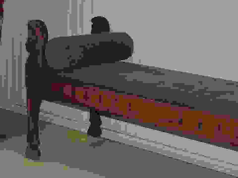 jer35