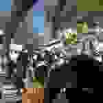 jer5