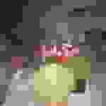 jer5