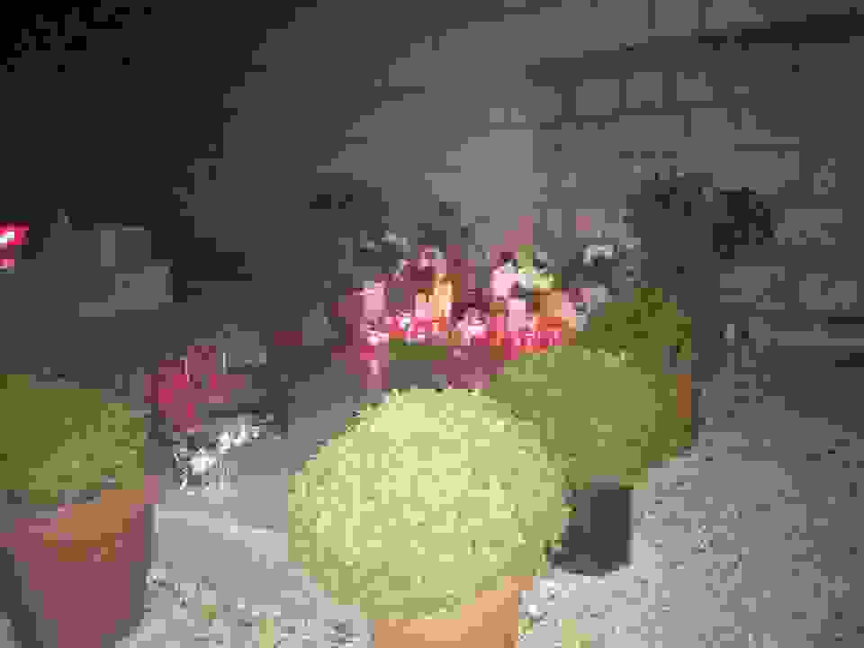 jer5