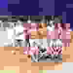 jer