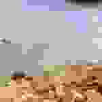 jer7