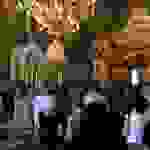 jer9