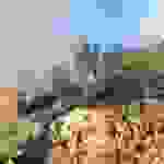 jer9