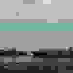 ni1
