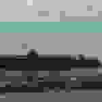 ni10