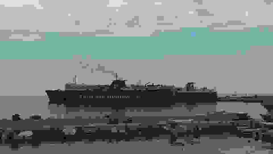 ni11