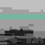 ni2